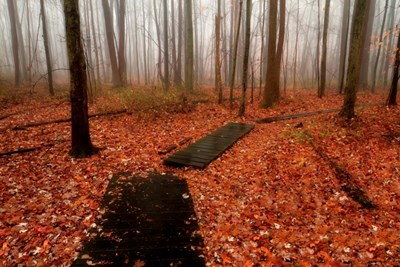 Fall Open House at Five Mile Woods Nature Preserve