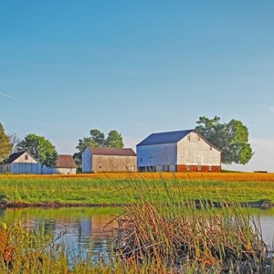 Springtime At Patterson Farm Photo By Pat O'leary
