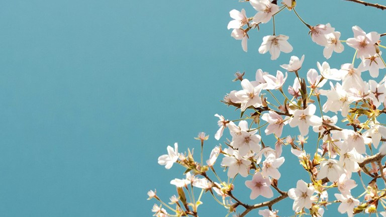 Lower Makefield Township rolls out new E- Newsletter