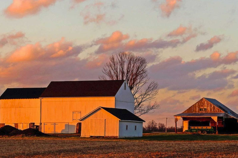 Board of Supervisors Awards Patterson Farm Master Plan Contract to