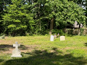 susan perry jenkins burial area